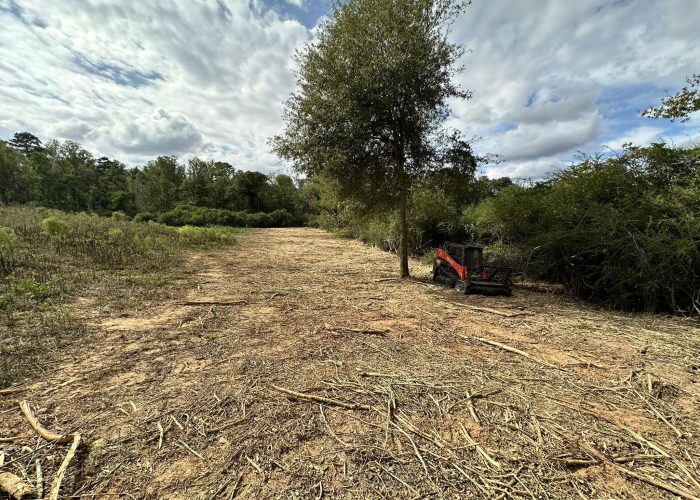 Land Clearing & Forestry Mulching Tylertown MS